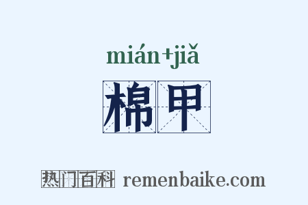 棉甲是什么意思的图片